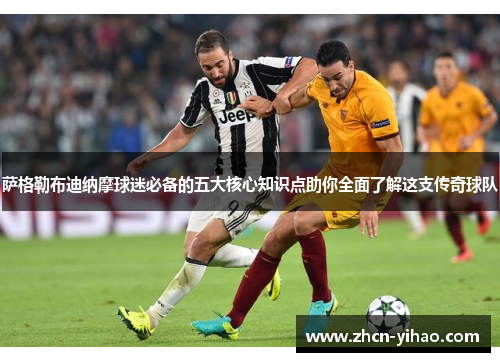 萨格勒布迪纳摩球迷必备的五大核心知识点助你全面了解这支传奇球队