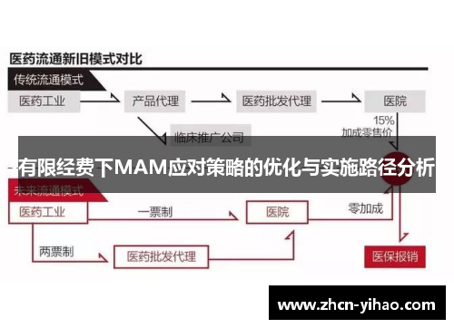 有限经费下MAM应对策略的优化与实施路径分析