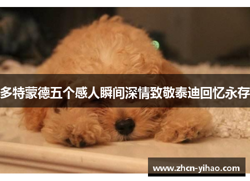 多特蒙德五个感人瞬间深情致敬泰迪回忆永存